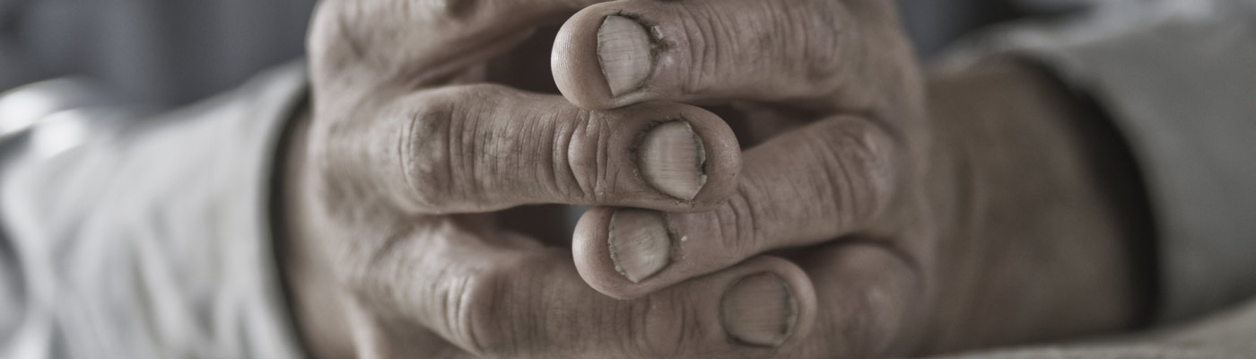 Deshollinador Mallorca info